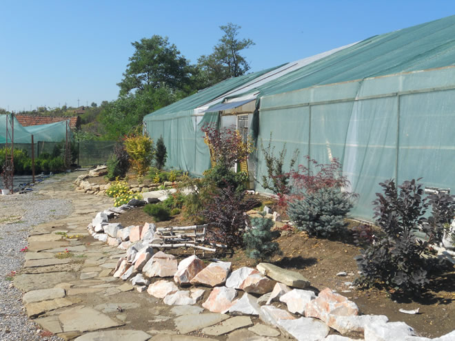 Centru de grădinărit