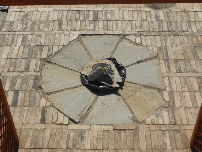 Centru de grădinărit