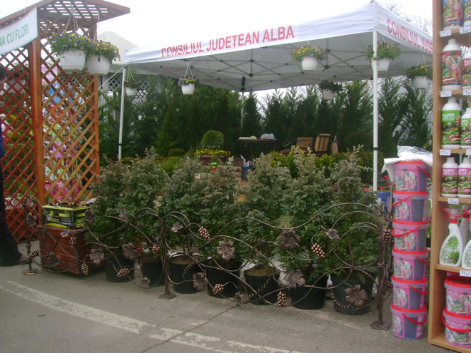 Târgul Grădinarului 2011